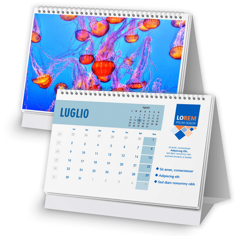 Calendario 16,5x11,5 - fogli 12+1 - f/retro