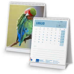 Calendario 16,5x11,5 - fogli 12+1 - f/retro