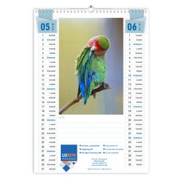 Calendari da parete A3 12...